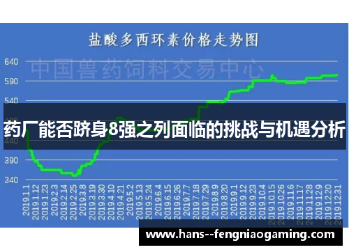 药厂能否跻身8强之列面临的挑战与机遇分析 药厂能否跻身8强之列面临的挑战与机遇分析