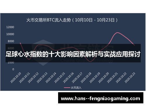 足球心水指数的十大影响因素解析与实战应用探讨
