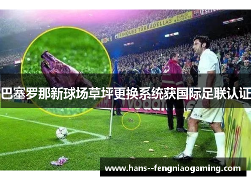 巴塞罗那新球场草坪更换系统获国际足联认证