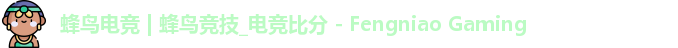 蜂鸟电竞